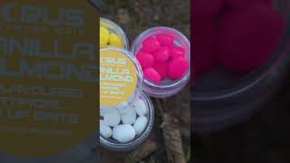 Corus Artificial baits  Short [upl. by Leik]