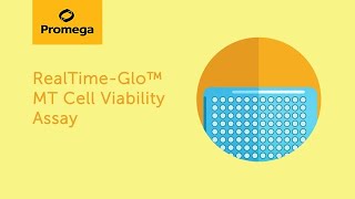 The RealTimeGlo MT cell viability assay  monitoring cell viability over time in the same well [upl. by Ruddy]