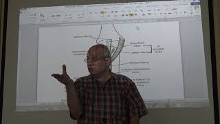 Nerve Injury 3  Median nerve Injury  part 1 for 4th year   by Dr Wahdan [upl. by Whall]