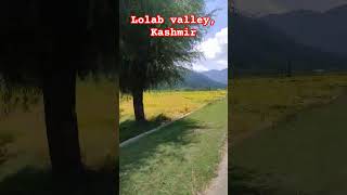 lolab valley kupwara kashmir [upl. by Nealson]