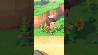 Finding RARE Dreamies animalcrossingnewhorizons animalcrossing cozygaming [upl. by Delphinia]