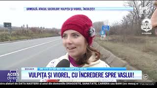 Vulpița și Viorel drumul spre casă quotNu mă aștept ca soacra să mă primeascăquot [upl. by Niamert]