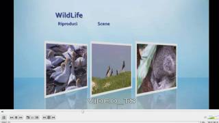 Creare un DVD video con Windows DVD Maker WINDOWS 7 [upl. by Marola]