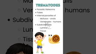 What are trematodes parasitology trendingshorts flatworm medzukhruf microbiology [upl. by Soalokin]