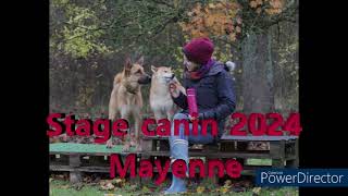 Stage canin mars 2024  Mayenne [upl. by Aivataj584]