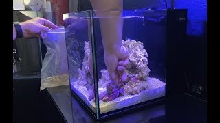 ARC Reef Coralline Algae In A Bottle amp Live Rock Unboxing [upl. by Anisamoht]