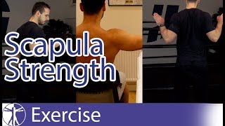 Scapula Strengthening Exercises  Early Shoulder Rehab [upl. by Lafleur287]