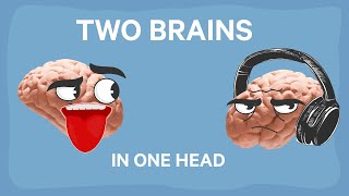 The INSANE Split Brain Research Findings [upl. by Nabi]