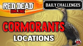 Red Dead Online  Cormorant Location  RDR2 Daily Challenge Cormorants Plucked [upl. by Atsirk386]