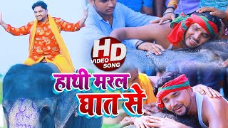 VIDEO  हाथी मरल घात से  Gunjan Singh  हाथी मेरे साथी  Bhojpuri Sad Song 2020 [upl. by Akcir]