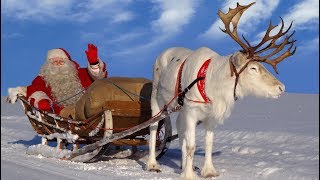 Joulupukki amp porot 🦌🎅 Joulupukin parhaat rekiajelut Rovaniemi Lappi Korvatunturi joulu Santa Claus [upl. by Eiramlirpa]