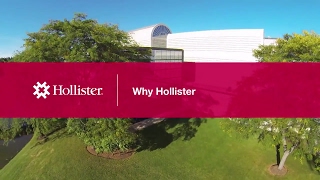 Why Hollister Incorporated [upl. by Naerda]