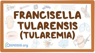 Francisella tularensis Tularemia  an Osmosis Preview [upl. by Ardnas]