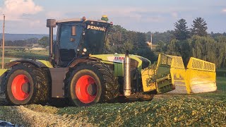 pushing corn silage [upl. by Sldney]