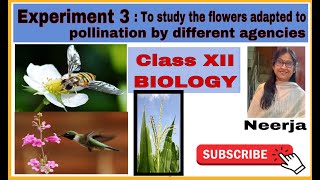 Self amp Cross Pollination  Sexual Reproduction in Plants II Agents of Pollination II [upl. by Aiel]