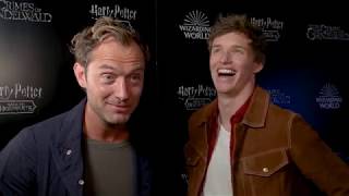 FANTASTIC BEASTS 2 Jude Law amp Eddie Redmayne Interview  Back To Hogwarts Fan Event [upl. by Ha163]