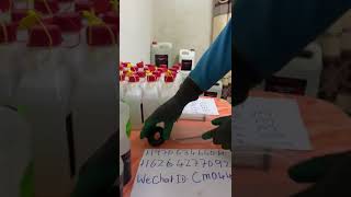 Caluanie Muelear Oxidize for Sale  Caluanie Muelear Oxidize 5L Fast and Reliable [upl. by Akenihs]