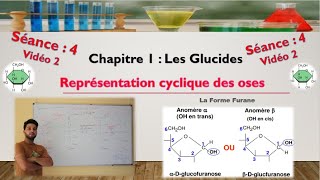 Séance 4  Vidéo 2  cyclisation des aldoses  formation de furanoses [upl. by Eniarrol184]