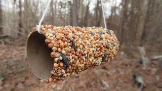 How to make a Bird Feeder for kids  Simple and Easy [upl. by Hentrich]