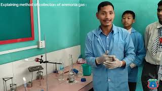 Labpreparation of ammonia gas chemistry practical workscienceNVEBS [upl. by Pickford376]