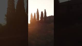 Tuscany The Most beautiful Places in Italy 2023  shorts [upl. by Conlin753]