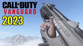 COD Vanguard  All Weapons Showcase Updated 2023 [upl. by Popelka]