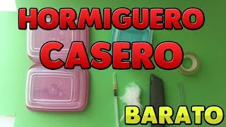 COMO HACER UN HORMIGUERO CASERO BARATO [upl. by Sternberg]