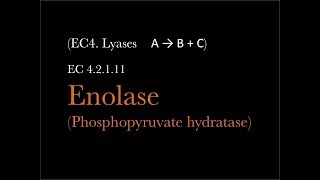 Enolase Enzymes in Glycolysis 34 【USMLE biochemistry】 [upl. by Cacilia]