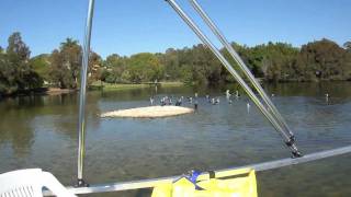 Green Powered Pontoon Boat Powered by low cost 55Ib iForce Marine Trolling Tiller motor [upl. by Eemla]