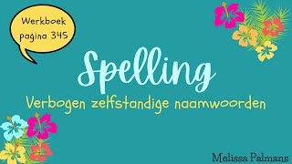 Nederlands 3ASO  LES 6 Spelling Verbogen Zelfstandige Naamwoorden [upl. by Akenihs308]