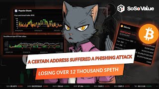 A certain address suffered a phishing attack losing over 12 thousand spETH  Sep 29 [upl. by Halli]