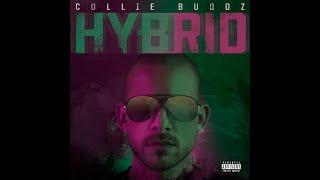 Collie Buddz  Time Flies feat Russ [upl. by Carlin]