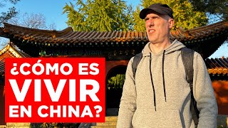 UN CHILENO NOS CUENTA CÓMO ES ESTUDIAR EN CHINA  Jabiertzo en directo [upl. by Eissac]