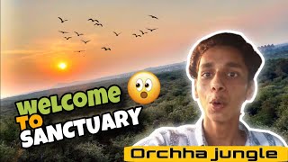 Orchha wild life sanctuary travel 🙄😧 jhansi orchha forest [upl. by Savannah309]