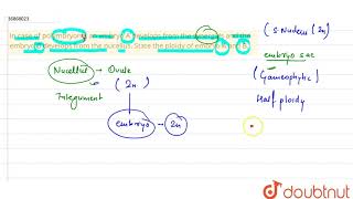 In case of polymbryone an embryo A develops from the synergids and the embryo B develops [upl. by Feirahs421]