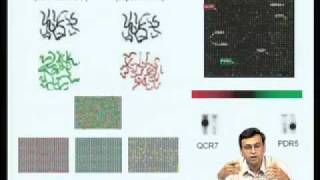 Mod10 Lec39 Genomics amp Proteomics [upl. by Anica]