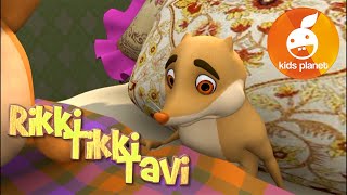 RIKKI TIKKI TAVI Episode 2  cartoons for kids  stories for children  Jungle book by R Kipling [upl. by Hasile]