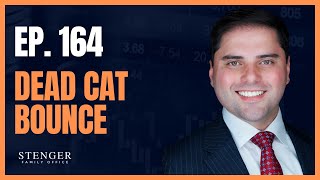 Dead Cat Bounce  The Nick Stenger Show Ep 164 [upl. by Nilyad]