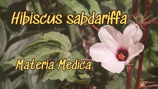 Hibiscus Materia Medica [upl. by Elleinnad]