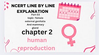 Female external genitalia and mammary glandhuman reproduction NCERT line by line explanation [upl. by Nevets770]