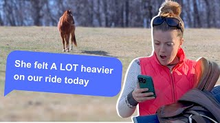 IF HORSES COULD TEXT funny 🤣 [upl. by Sevik977]