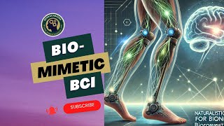 Naturalistic Sensations for Bionic Legs Biomimetic BCI with Giacomo Valle PhD [upl. by Gnilrets]