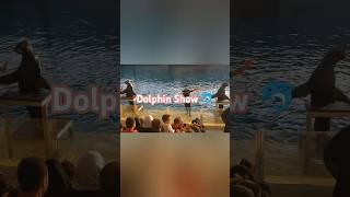 Fakieh Aquarium  Dolphin Show  Saudi Days [upl. by Moll]