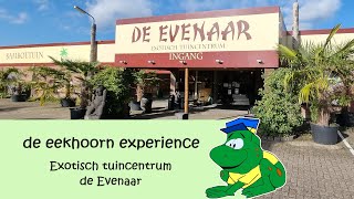 De eekhoorn experience  Exotisch tuincentrum de Evenaar [upl. by Kcirad626]