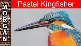 Pastel Drawing for beginners  kingfisher in pastel pencils [upl. by Hsiwhem]