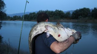 Sakarya Nehri Yayın Avı  Balığın Yakalanışı [upl. by Ralfston]