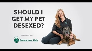 Greencross Vets  Should I Get My Pet Desexed [upl. by Lesh]