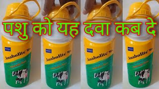 पशु को एनाबोलाइट कब दे anabolite mix ka keya kam hay anabolite ke phayde kya haye anabolite kab de [upl. by Sevart]