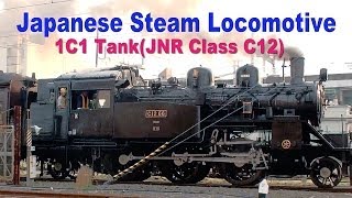 Japanese Steam Locomotive 262 1C1 ClassC12 tank [upl. by Huan]