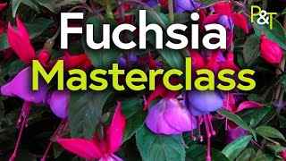 Fuchsia Masterclass potting pruning cuttings hardiness  Pots amp Trowels [upl. by Aurlie]